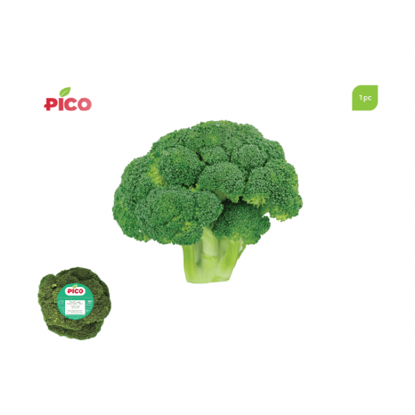 Broccoli – 1pc