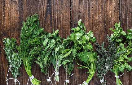 Extend your herbs’ shelf life! - Pico Agriculture