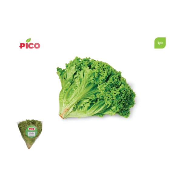 Lollo Bionda lettuce – 1pc
