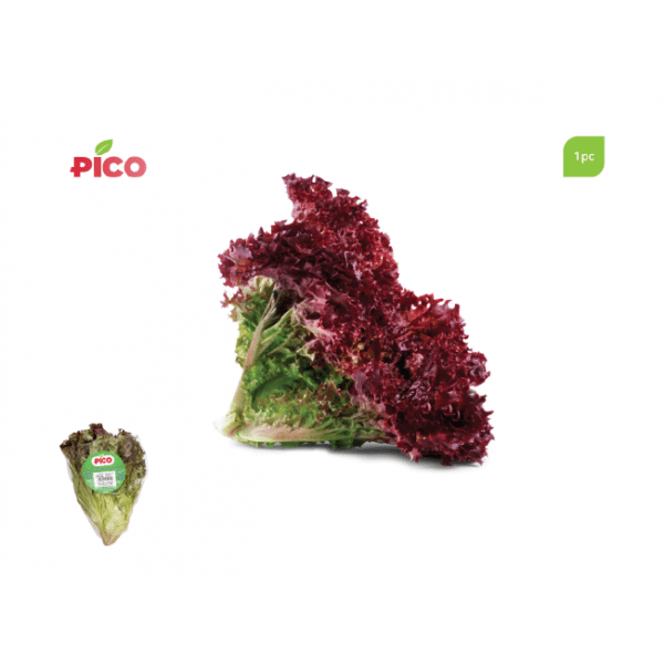 Lollo Rosso lettuce – 1pc