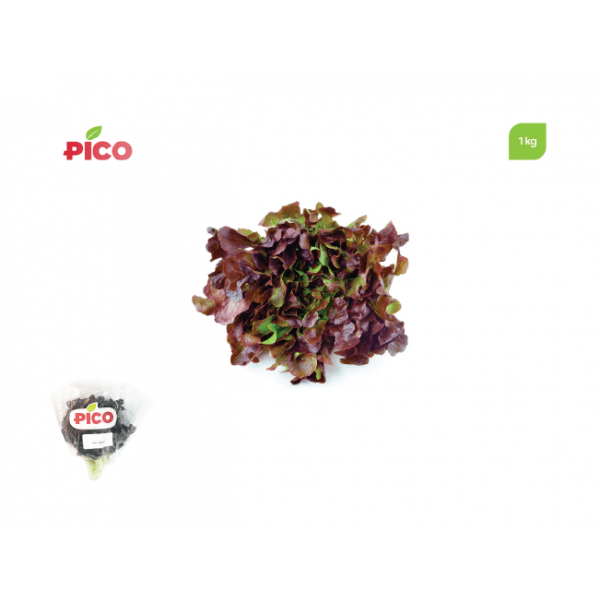 Red Oakleaf Lettuce – 1pc
